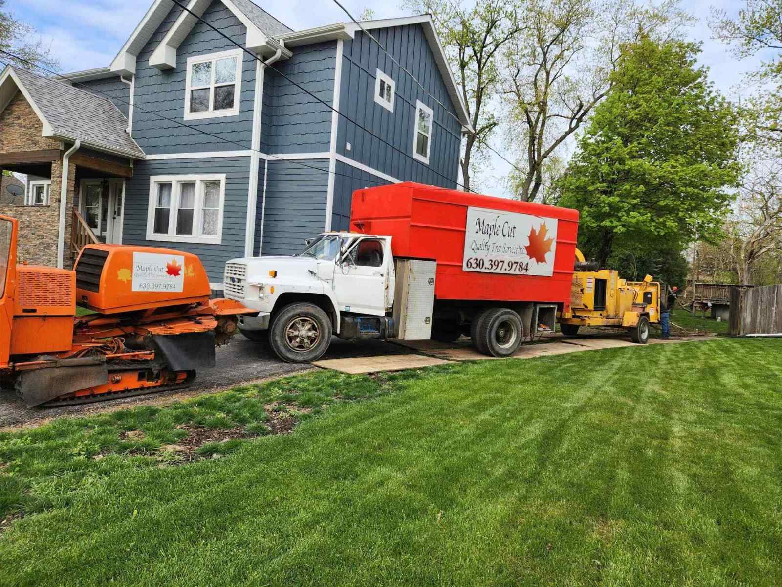 How to Choose the Best Tree Service Provider in Chicago